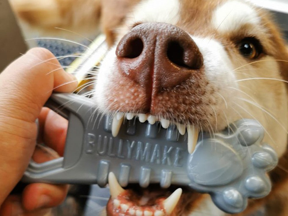 The Ultimate Dog Toys for Large Dogs Guide