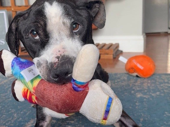 Safe Enough to Play: Neville's Journey from Survival to Joy