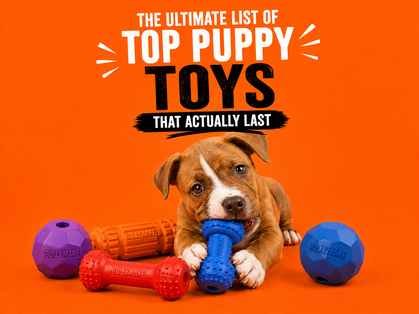 pit bull puppy on orange background playing with bullymake toys