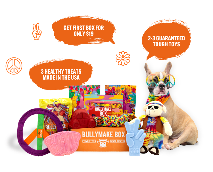 Are Bullymake Toys Safe for Dogs: Expert Safety Review 2025