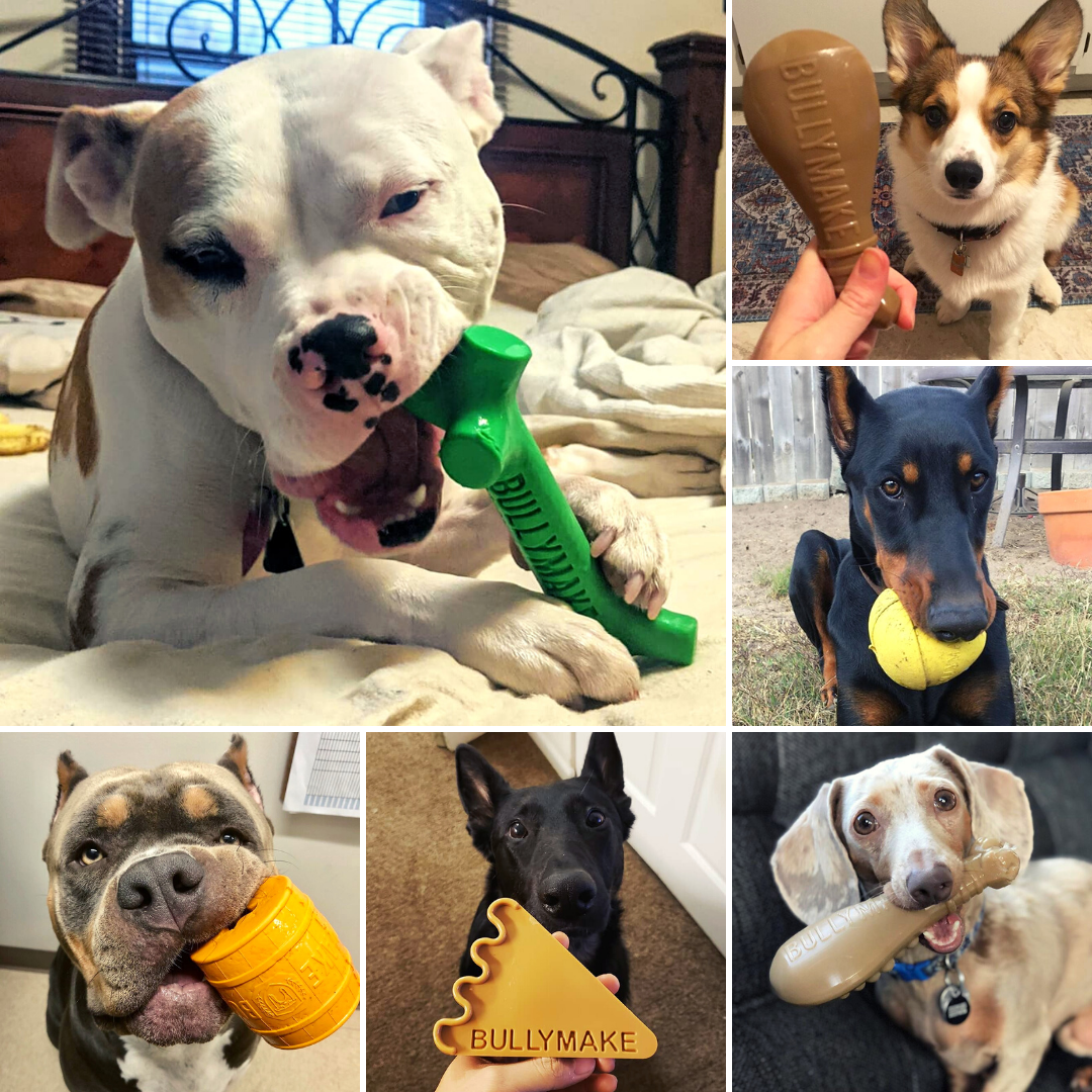 Bullymake Super Durable Dog Toys & Nutritious Treats ~ Giveaway US