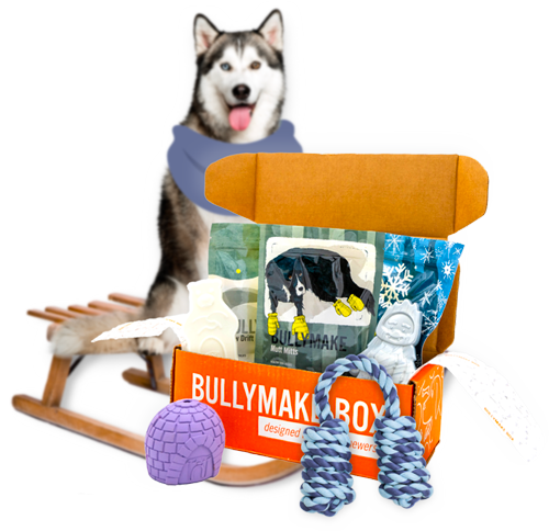 bullymake super chewer