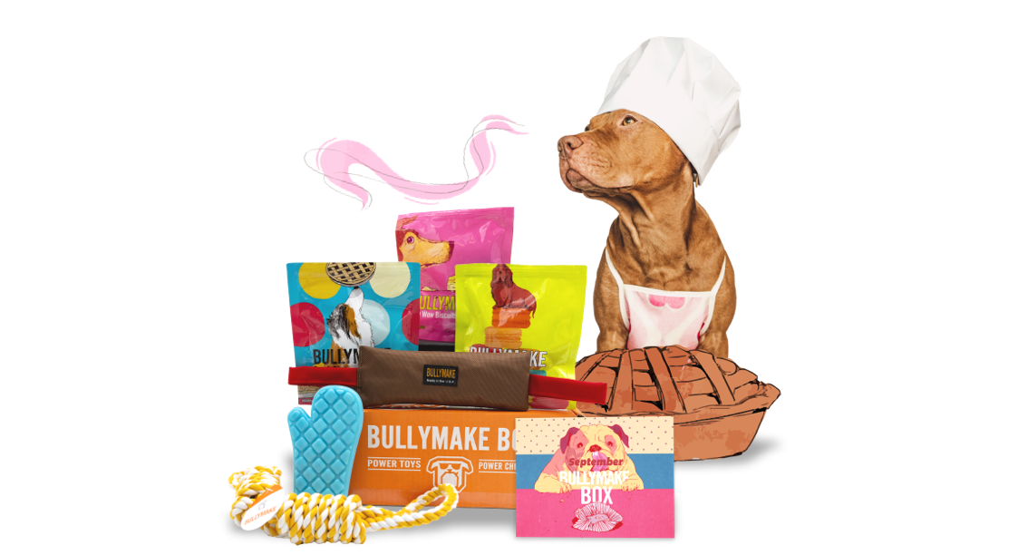 Bullymake Box A Dog Subscription Box For Power Chewers