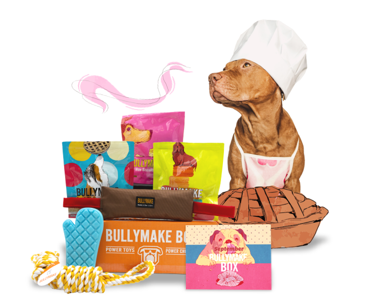Safety - Bullymake Box - A Dog Subscription Box For Power Chewers!