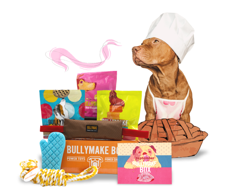 Bullymake Box A Dog Subscription Box For Power Chewers