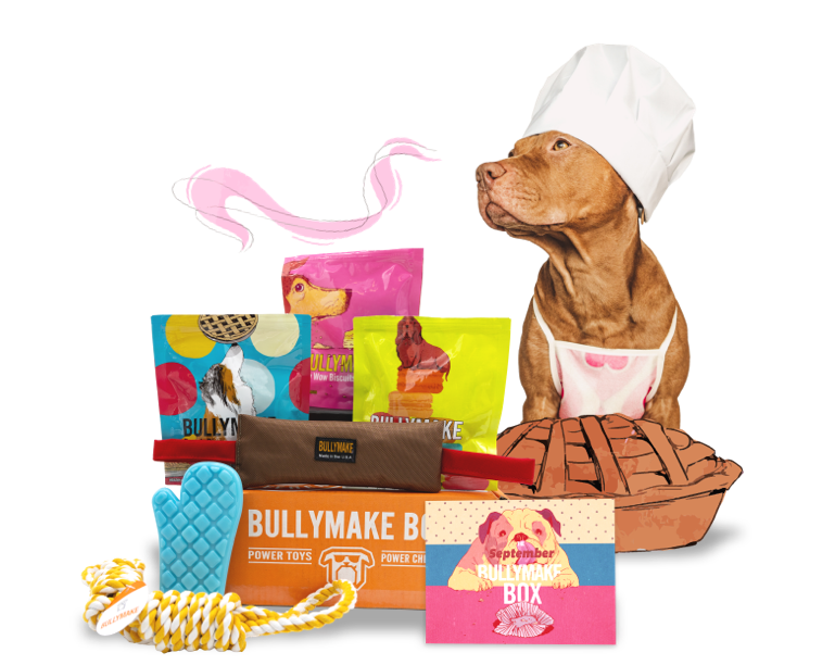 Bullymake Box - A Dog Subscription Box For Power Chewers!