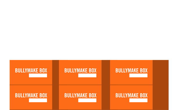 What 9 Months of Bullymake Boxes Looks Like
