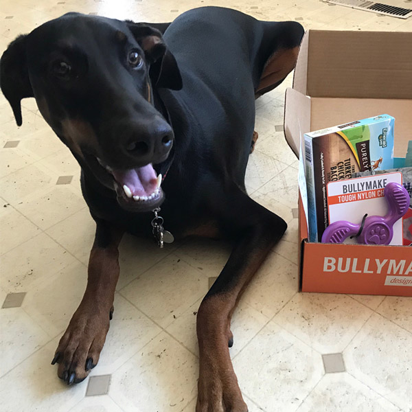 Bullymake Box - A Dog Subscription Box 