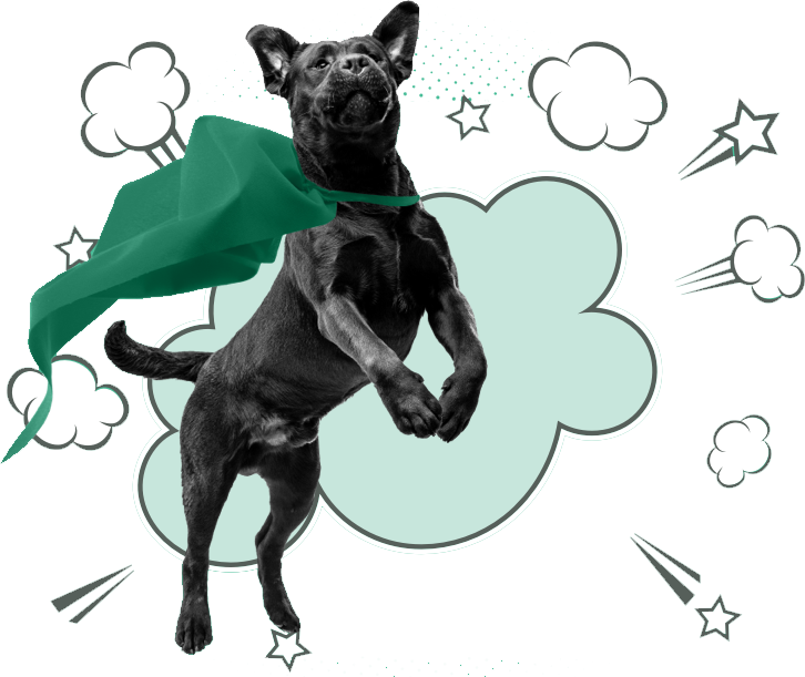 https://bullymake.com/assets/img/in-the-box/super-dog.png