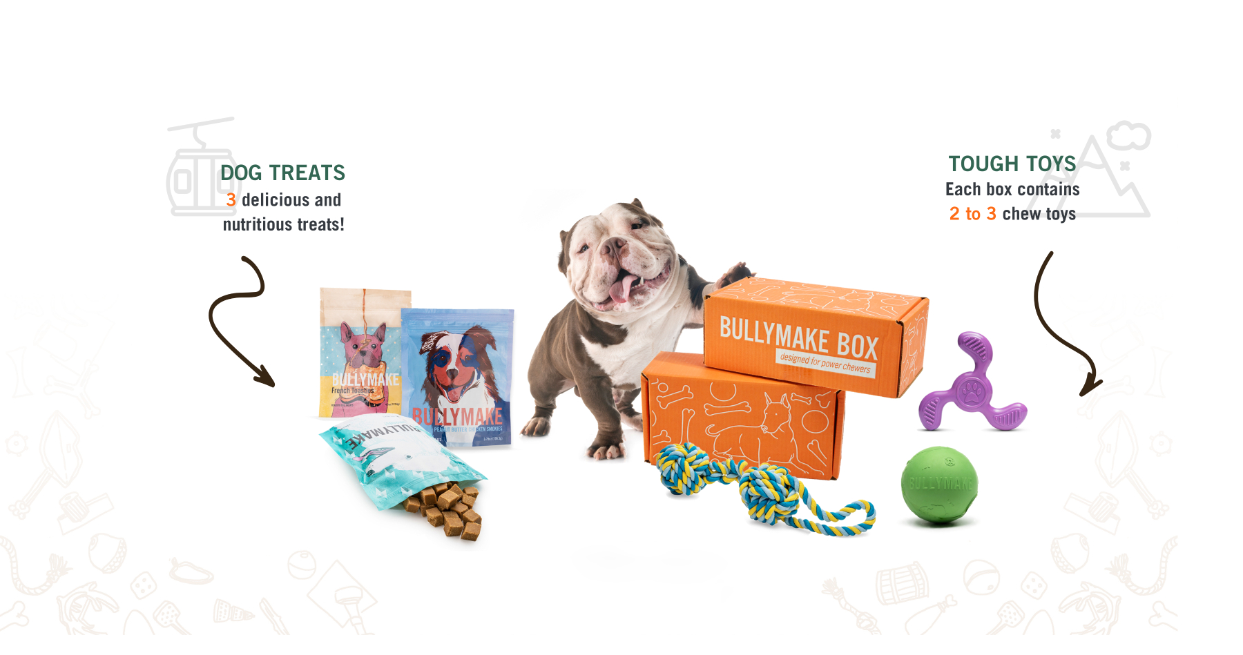 dog boxes for tough chewers