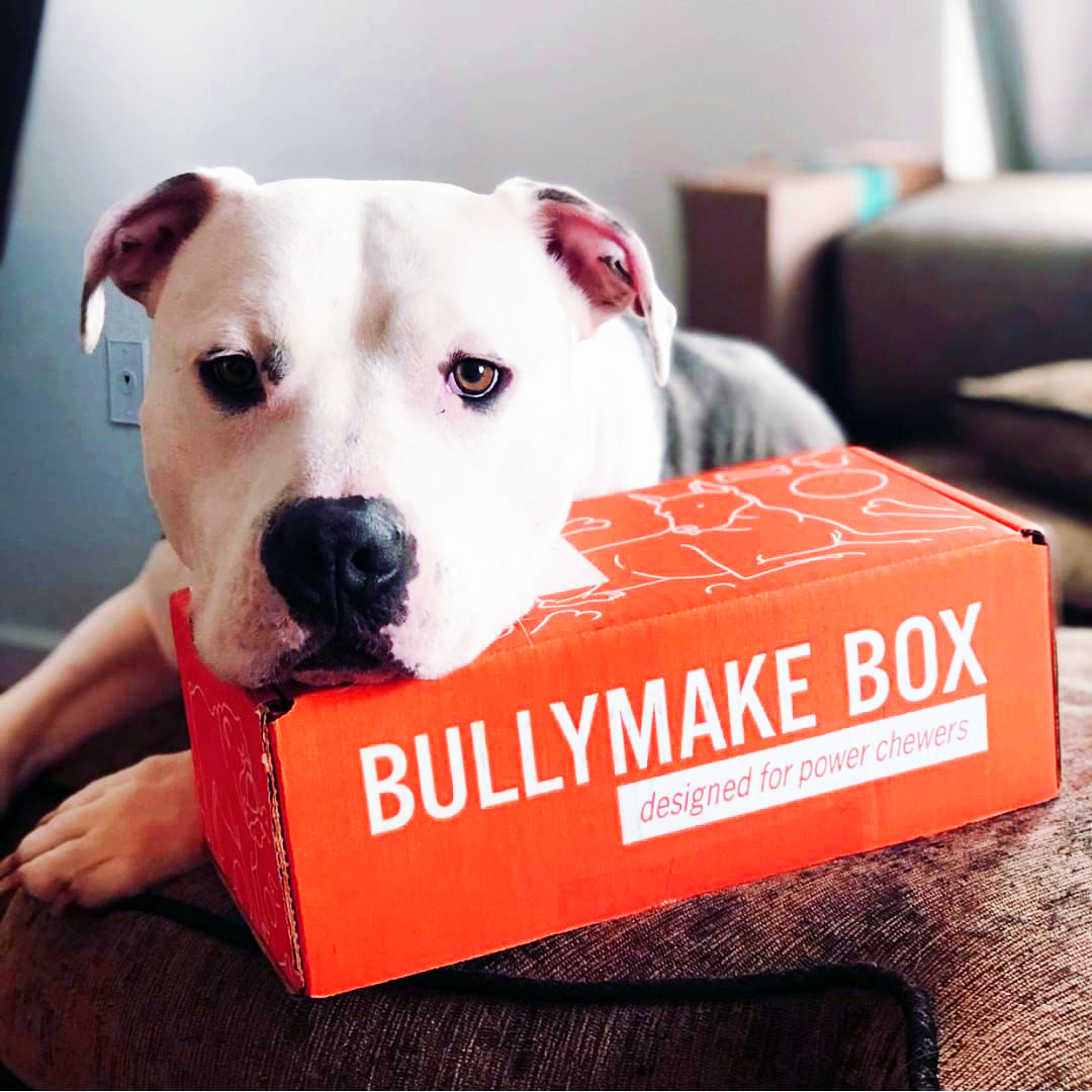 Bullymake Super Durable Dog Toys & Nutritious Treats ~ Giveaway US