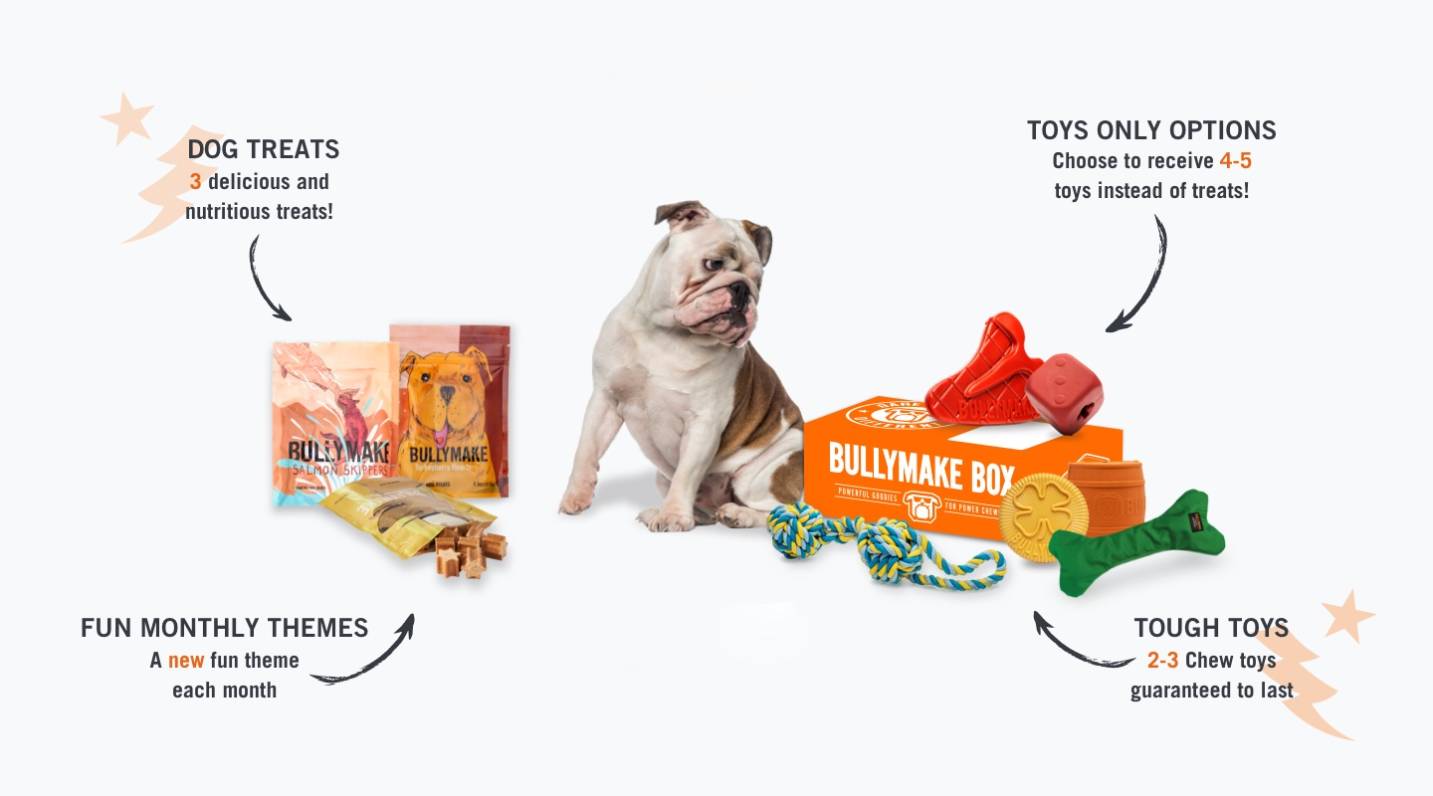 In The Box - Bullymake Box - A Dog Subscription Box For Power Chewers!
