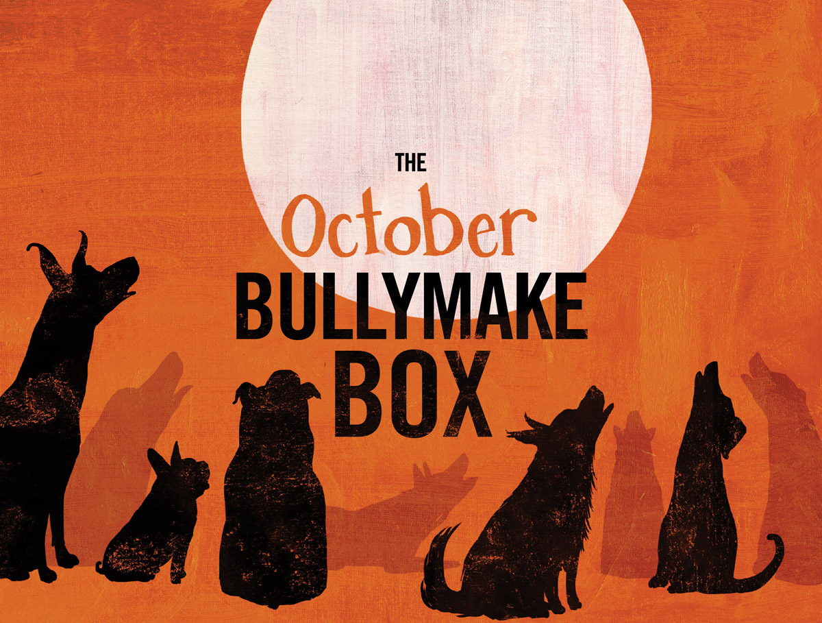 Bullymake Box Brings Treats for Our Gang – Piney Mountain Foster Care