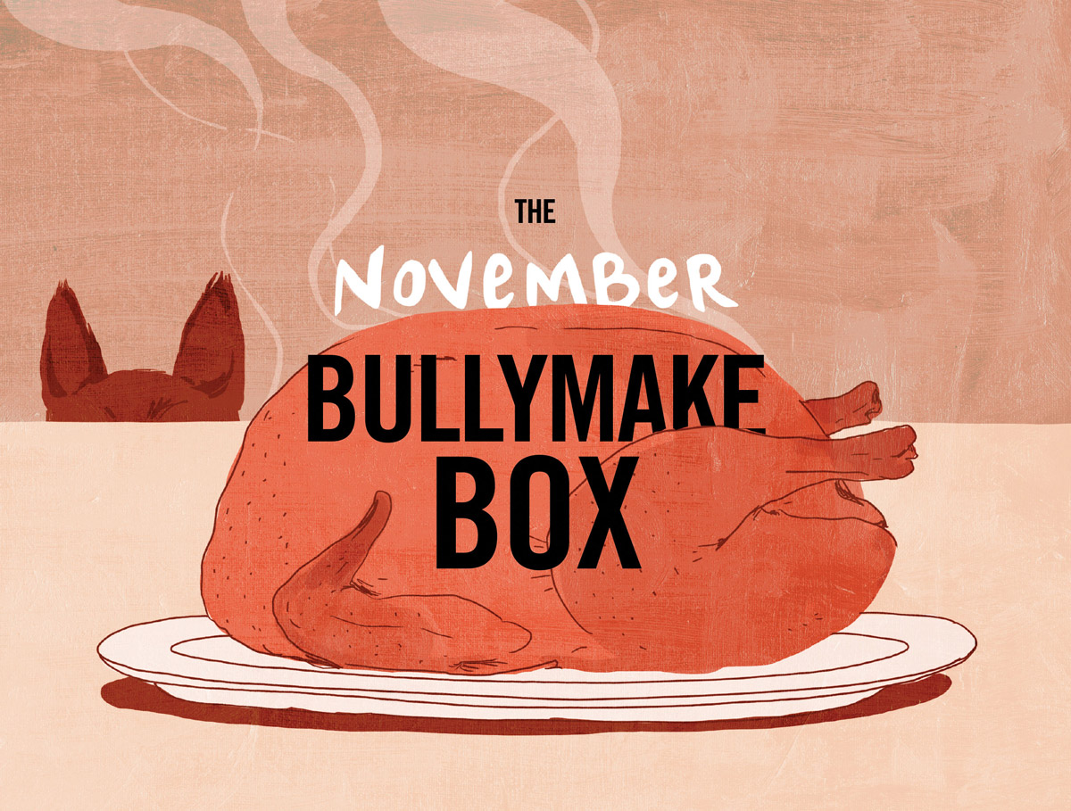 Bullymake Box Brings Treats for Our Gang – Piney Mountain Foster Care