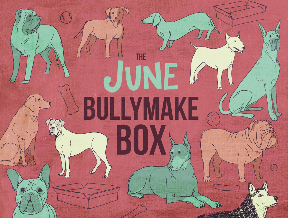 BULLYMAKE Box - Pittie Posse Rescue