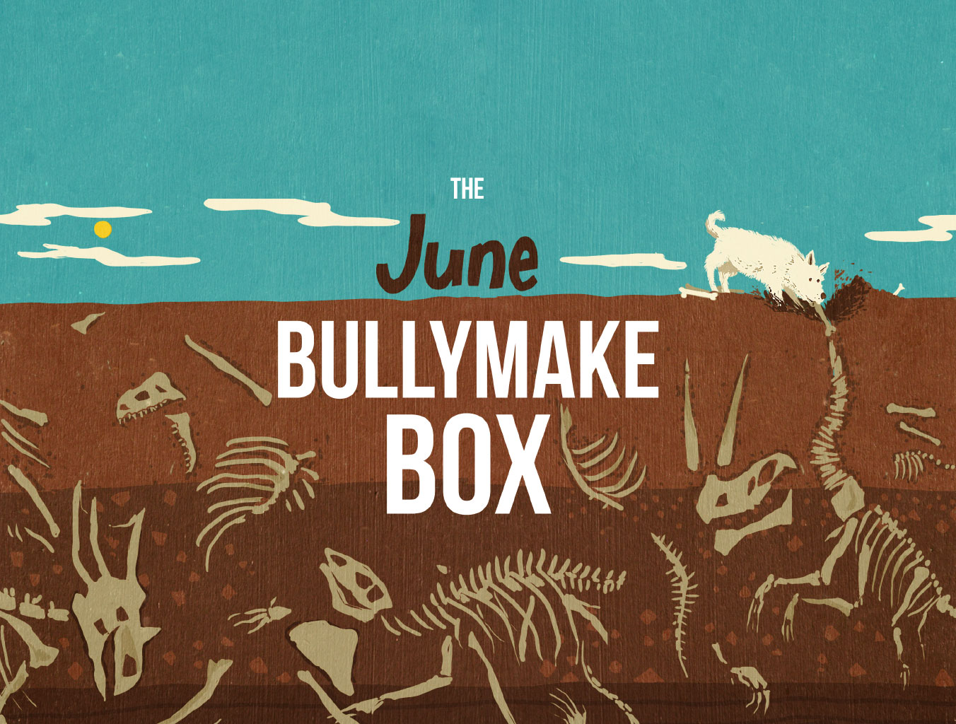 june bullymake box