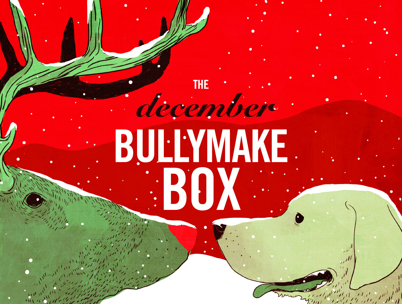 Bullymake Box Brings Treats for Our Gang – Piney Mountain Foster Care