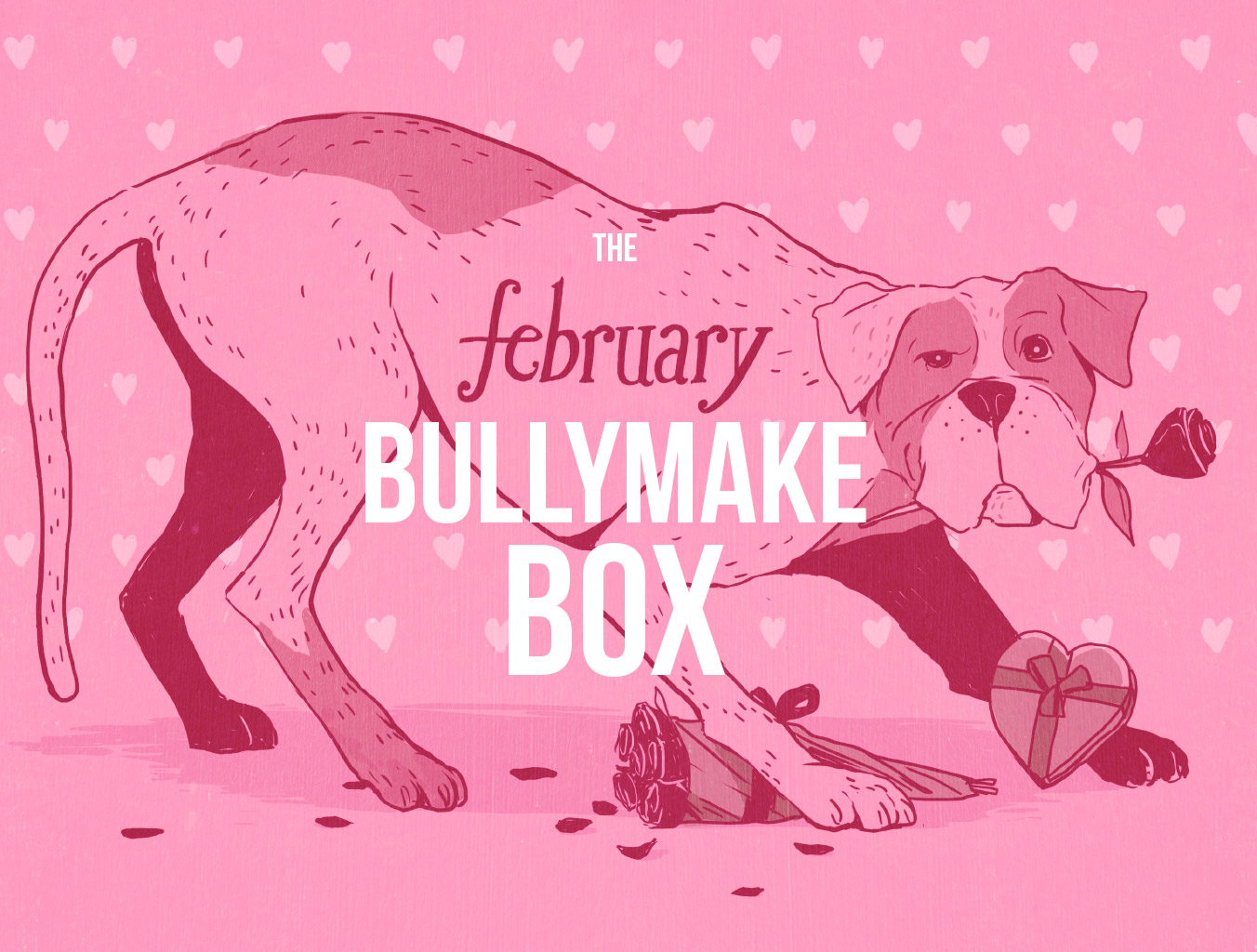 Bullymake Box Brings Treats for Our Gang – Piney Mountain Foster Care