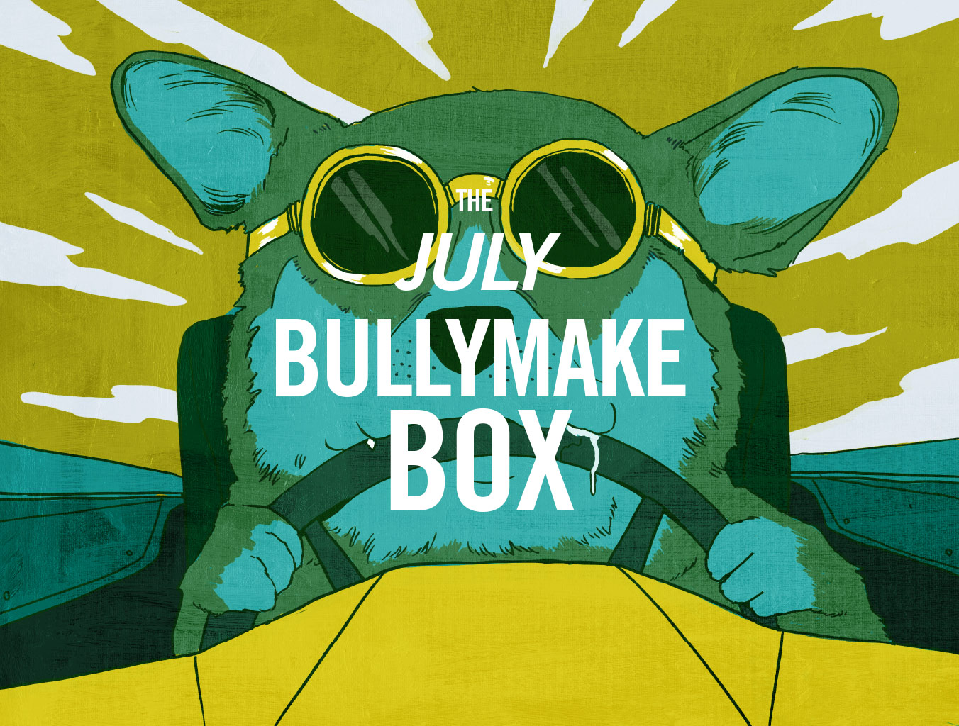 Bullymake Box Brings Treats for Our Gang – Piney Mountain Foster Care