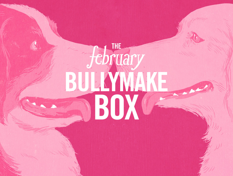 Writing Beauty: April 2018 Bullymake Box + Coupon Code