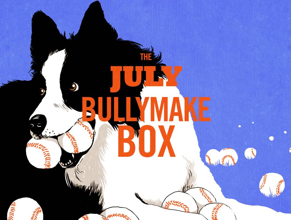 A Look Inside the June Box 👀 - Bullymake