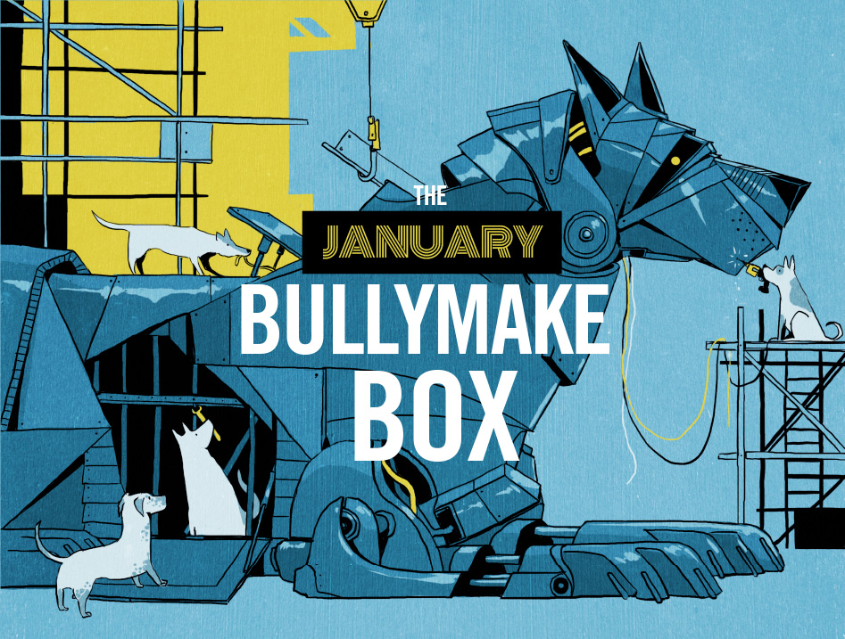 Bullymake Box: Review - Journeys and Jaunts