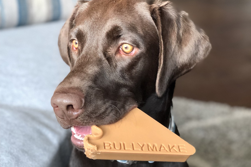 Dog Toy - Bullymake Box - A Dog Subscription Box For Power Chewers!