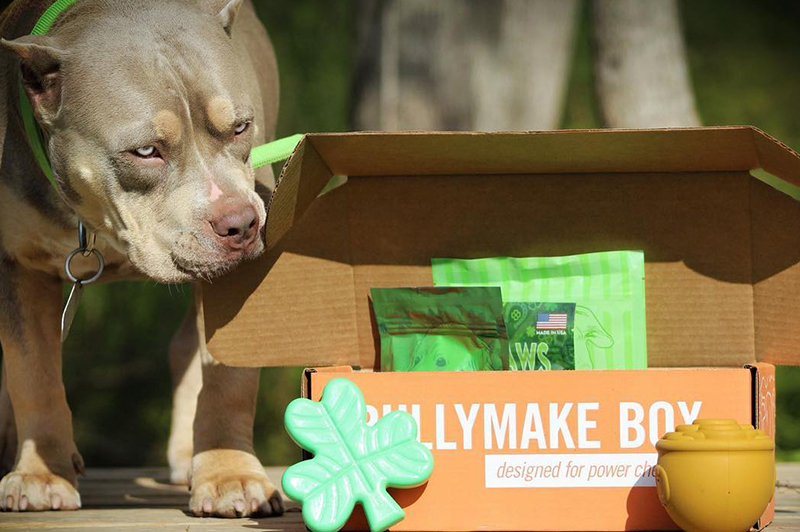 Bullymake Box: Save 40% on your first box - Clark Deals