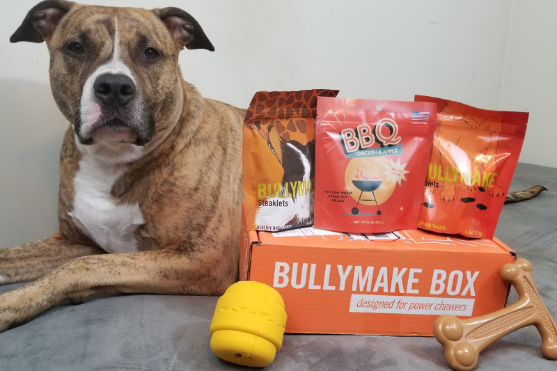 The Best Dog Subscription Boxes – 2020 