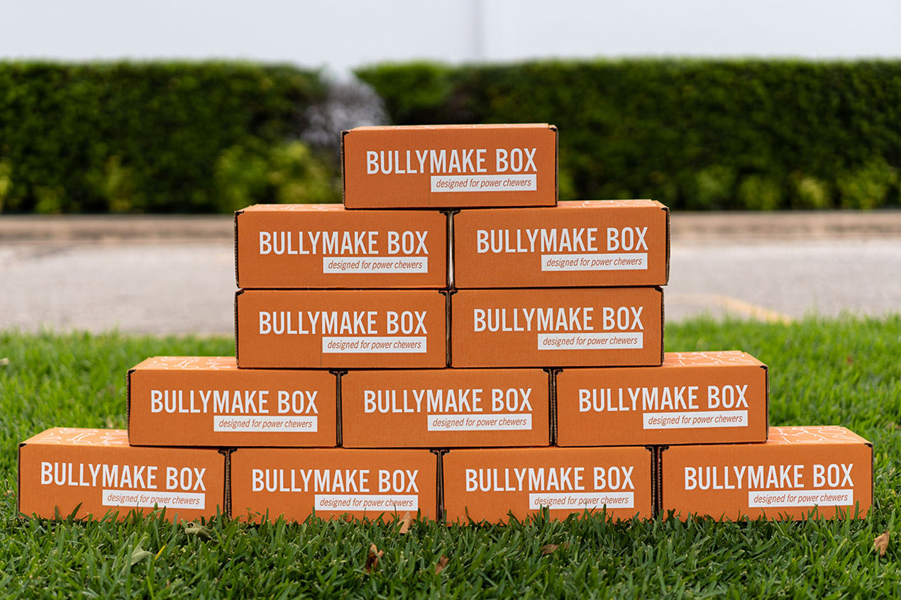 1 Month Subscription - Bullymake Box - A Dog Subscription Box For