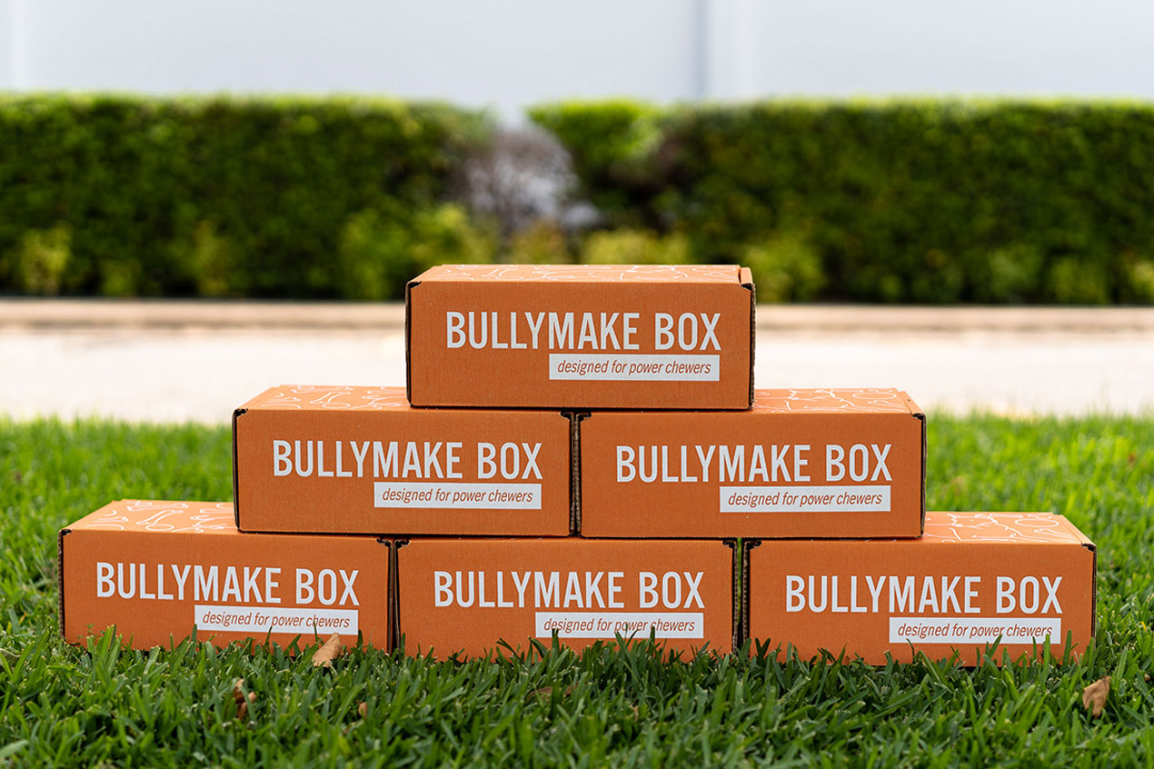 Bullymake Box Deal – 40% Off Your First Box!
