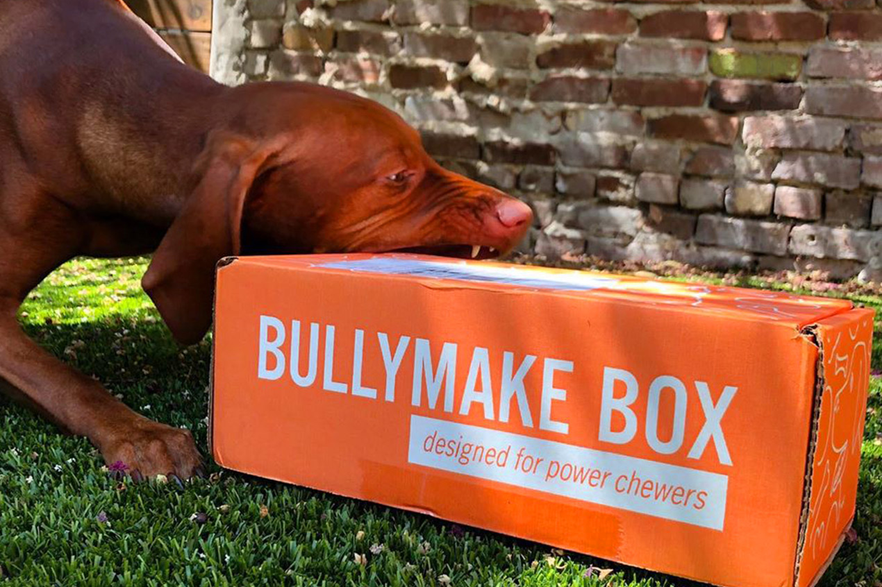 Bullymake Box - A Dog Subscription Box For Power Chewers!