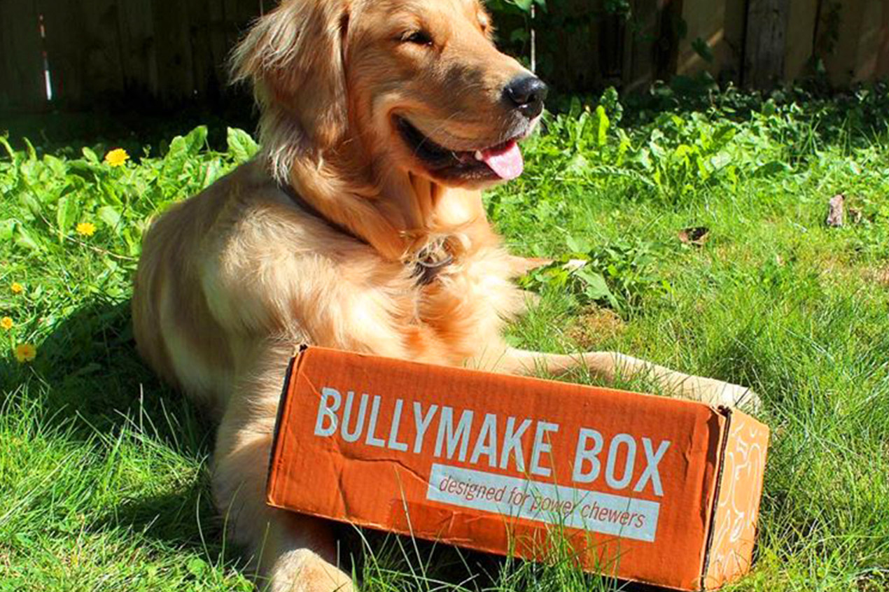 Bullymake Review: A Monthly Subscription Box for Ruff and Tuff