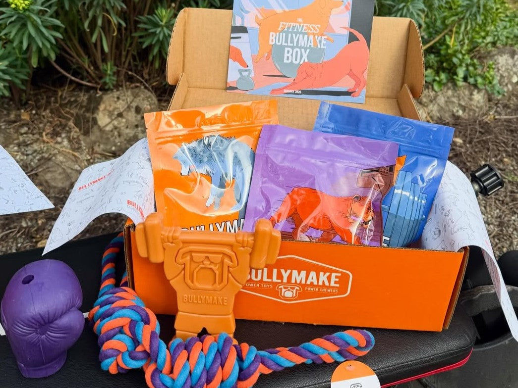 bullymake dog box january 2026 fitness theme