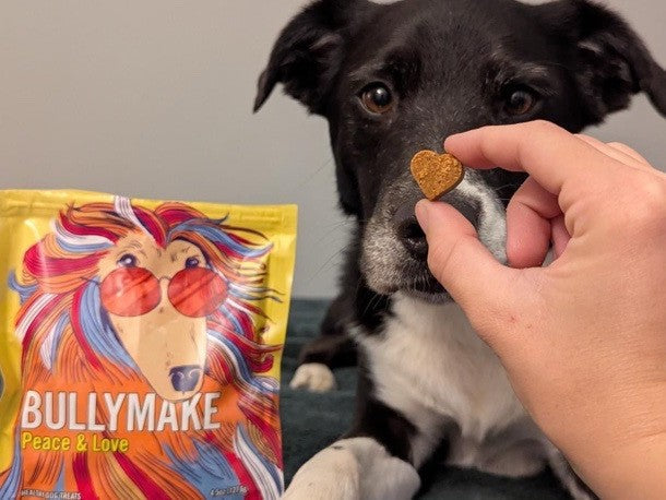 dog with bullymake heart shaped dog treats
