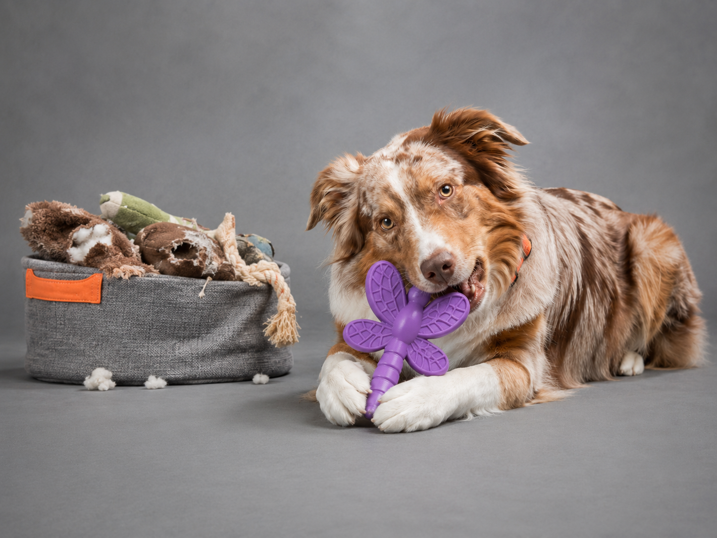 How to Prevent Toy Destruction With Aggressive Chewers