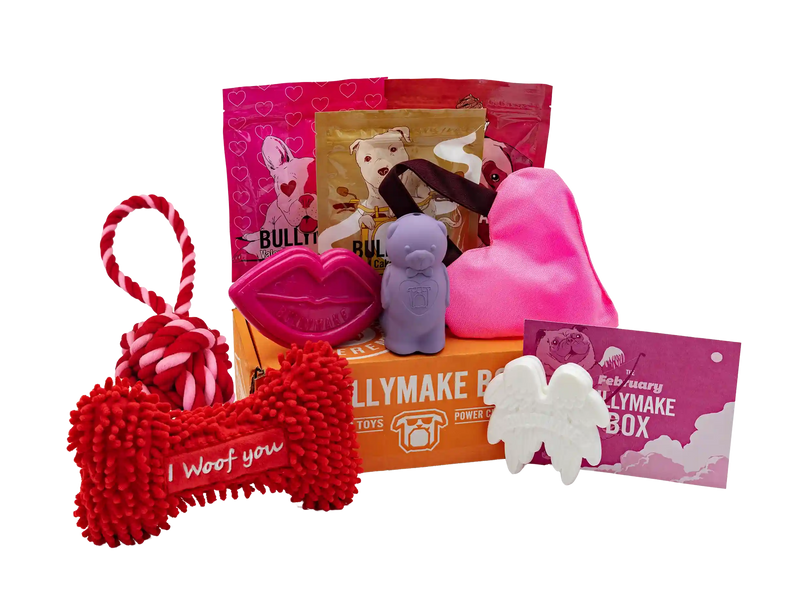 The February Bullymake Box