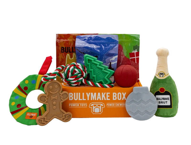 The Holiday Bullymake Box