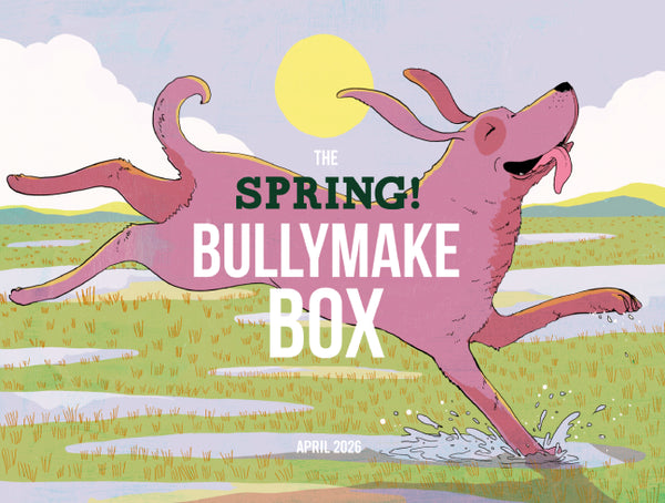 THE SPRING BULLYMAKE BOX