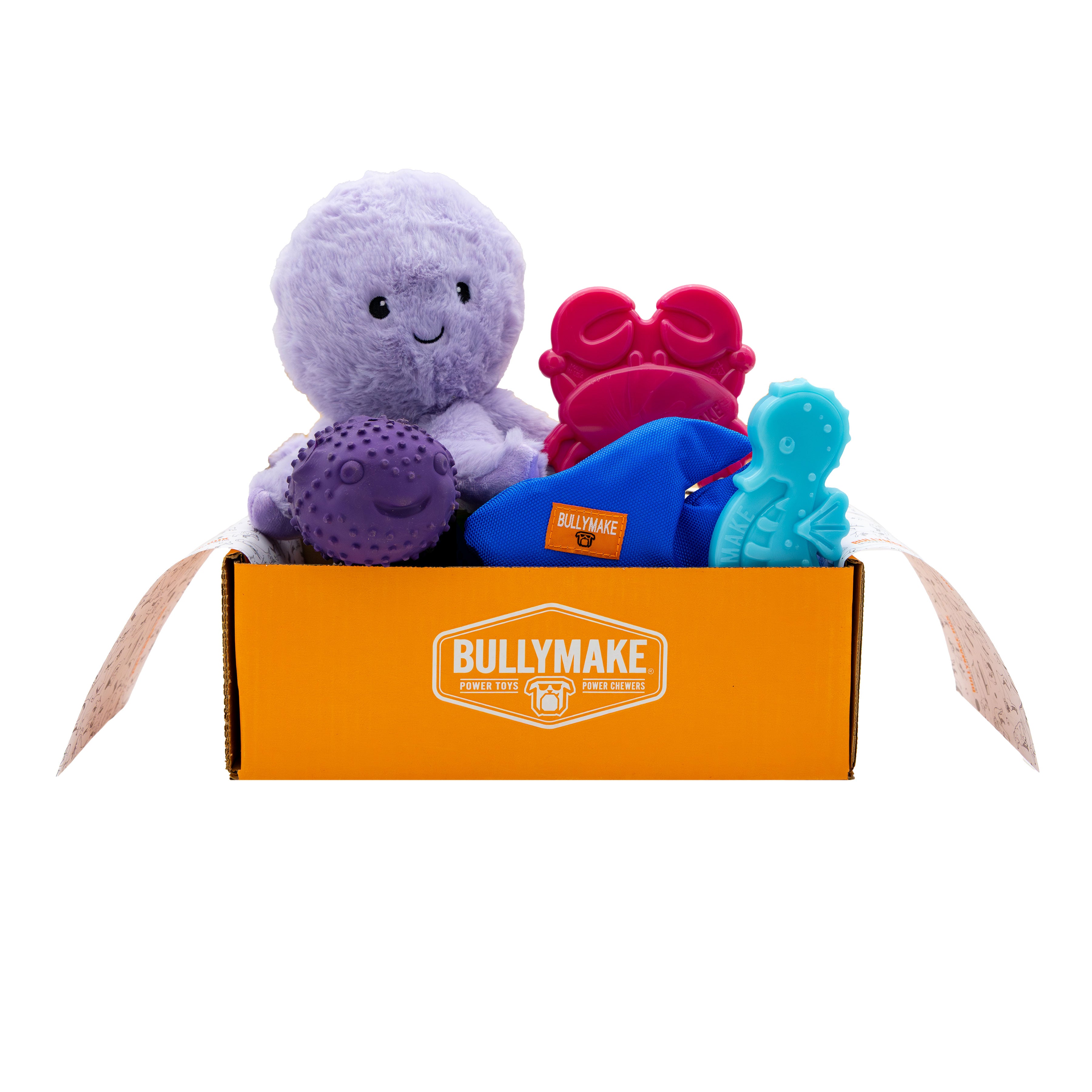 Toys Only Box - 6 Month Subscription