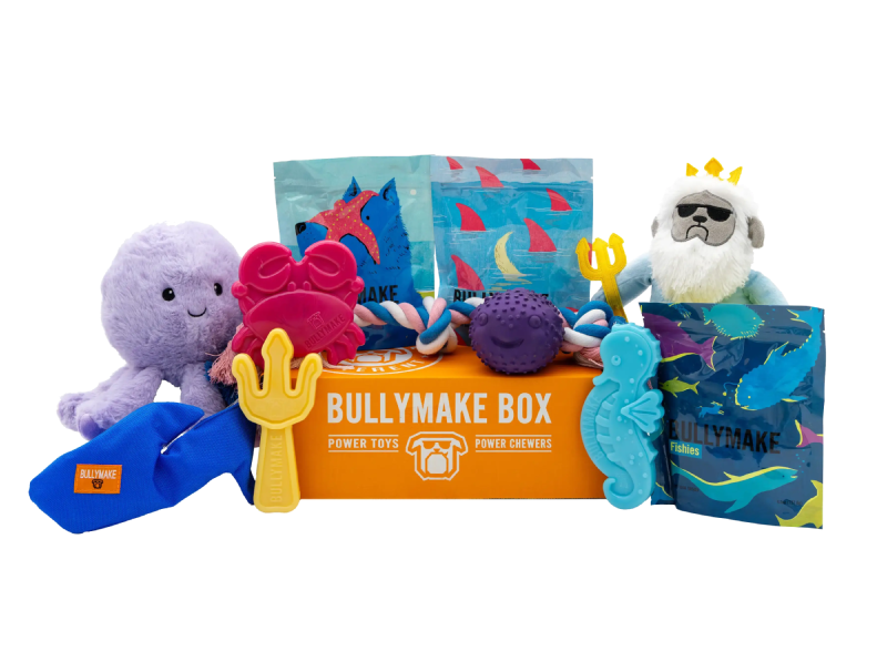 THE UNDERSEA BULLYMAKE BOX