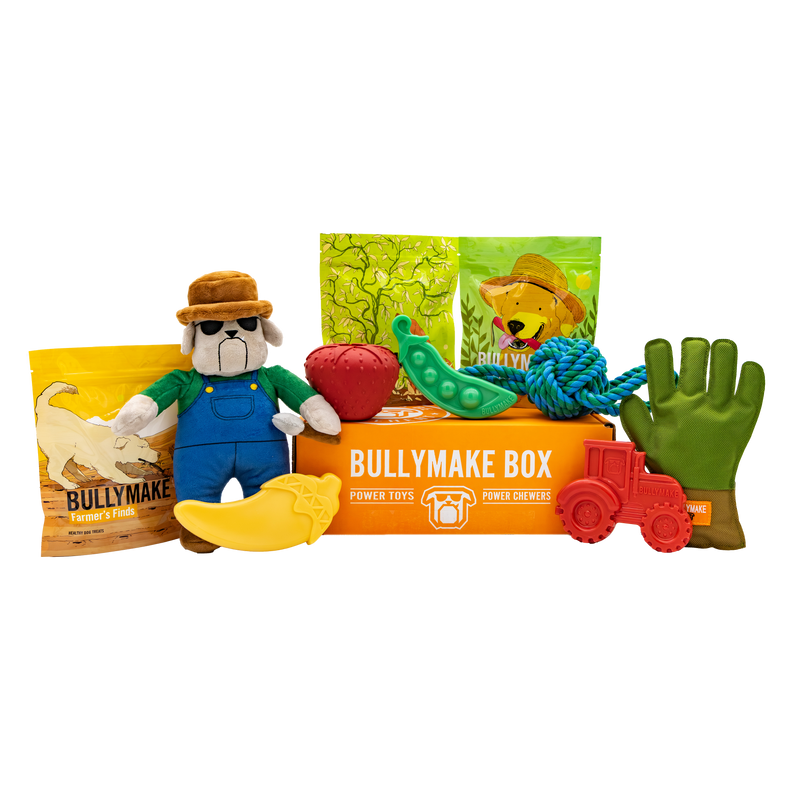 THE GARDENING BULLYMAKE BOX