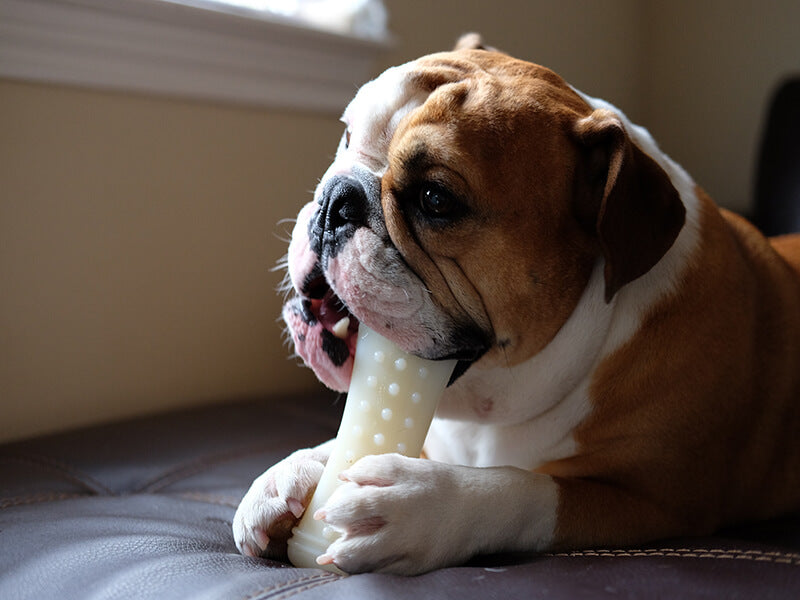 Toys Only Box - 6 Month Subscription