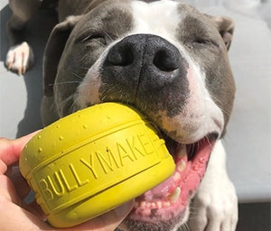 Dog holding a yellow Bullymake toy in its mouth.