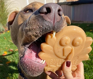 Dog holding a bully stick with a paw design in its mouth, outdoors.