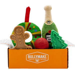 Toys Only Box - 1 Month Subscription