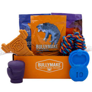 Toys & Treats Box - 1 Month Subscription