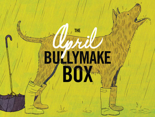 The April Bullymake Box