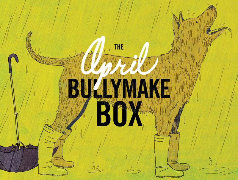The April Bullymake Box