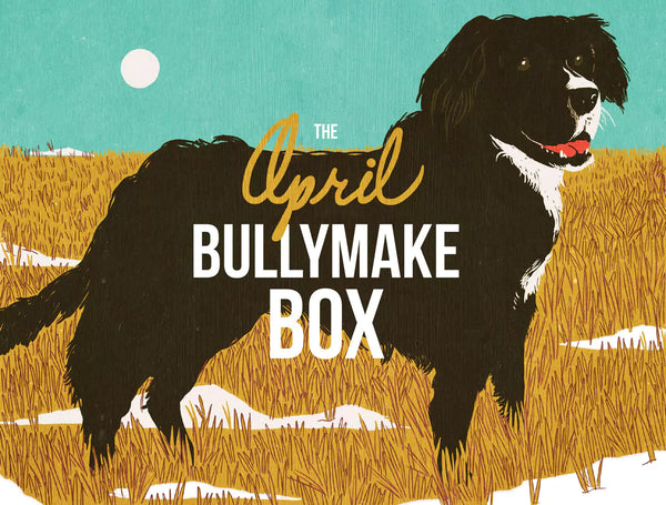 The April Bullymake Box